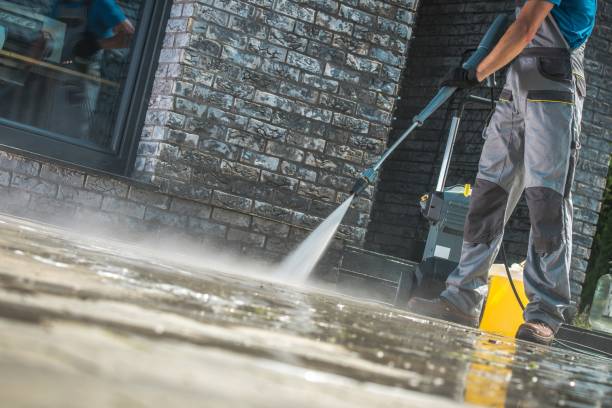 Best Boat and Dock Cleaning  in Deville, AL
