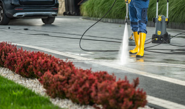 Best Dumpster Area Cleaning  in Deville, AL